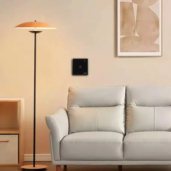 baytonia_gallery_image