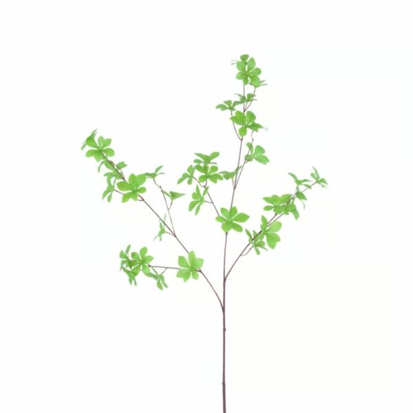 baytonia_main product photo