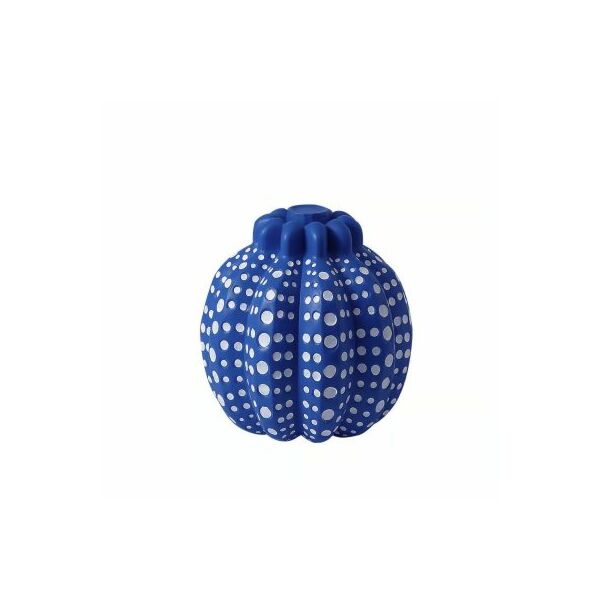 baytonia_main product photo