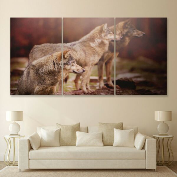 baytonia_main product photo