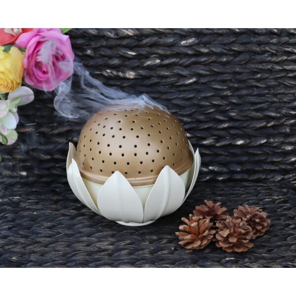 baytonia_main product photo