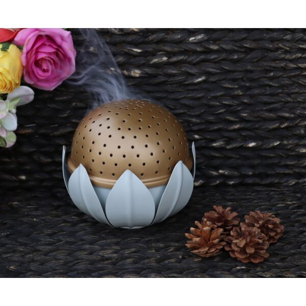 baytonia_main product photo