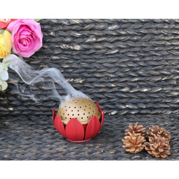 baytonia_main product photo
