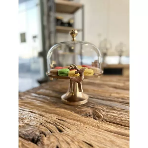 baytonia_gallery_image