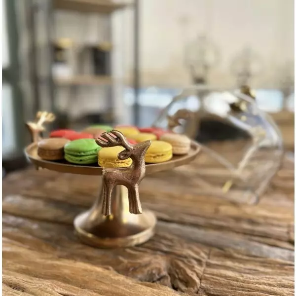 baytonia_gallery_image