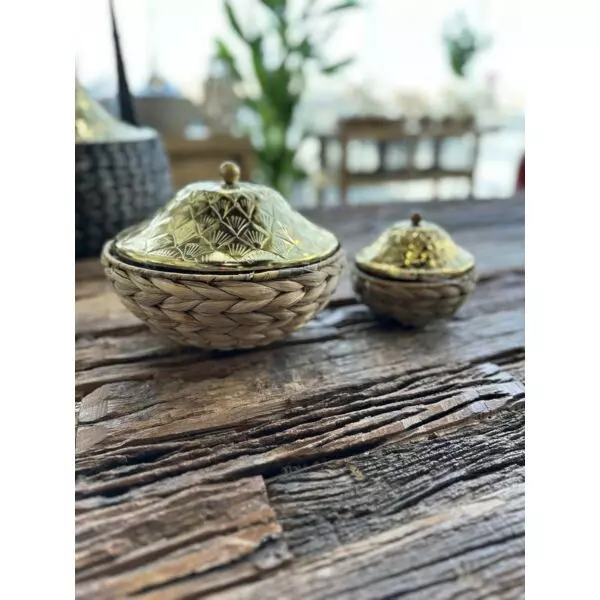 baytonia_gallery_image