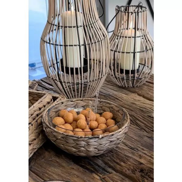 baytonia_gallery_image