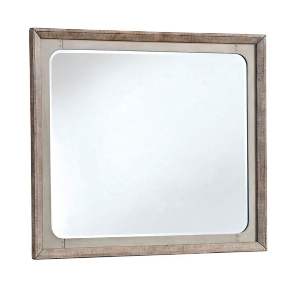 baytonia_main product photo