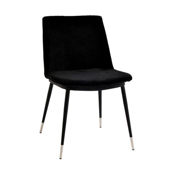 baytonia_main product photo