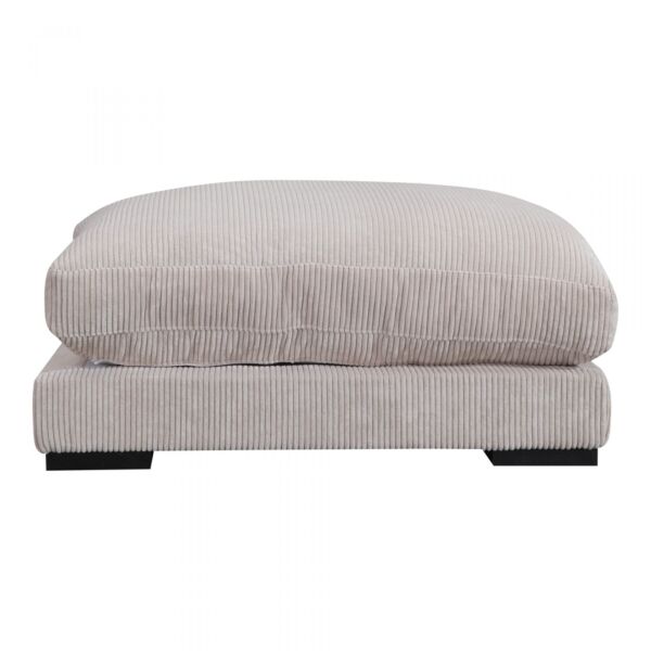 baytonia_main product photo
