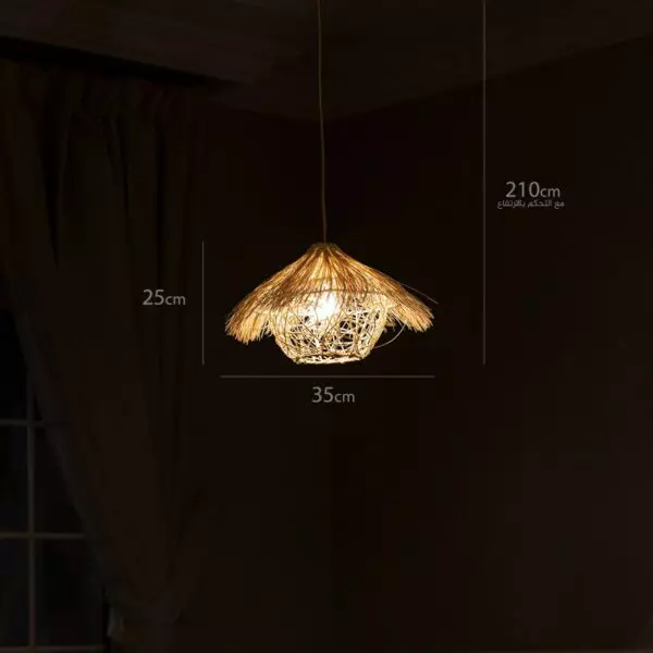 baytonia_gallery_image