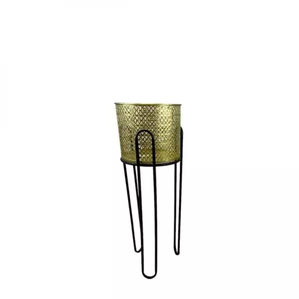 baytonia_gallery_image