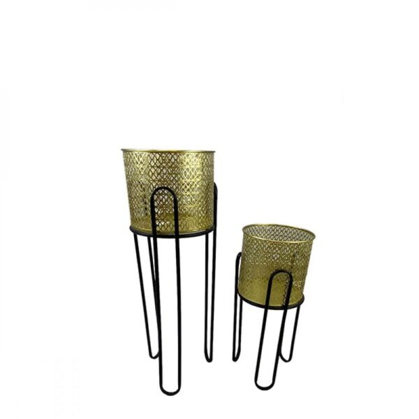 baytonia_main product photo