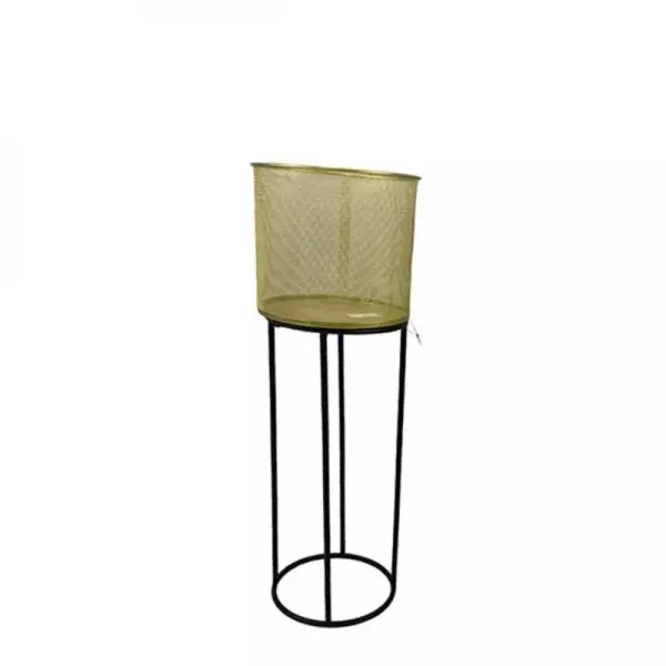 baytonia_gallery_image