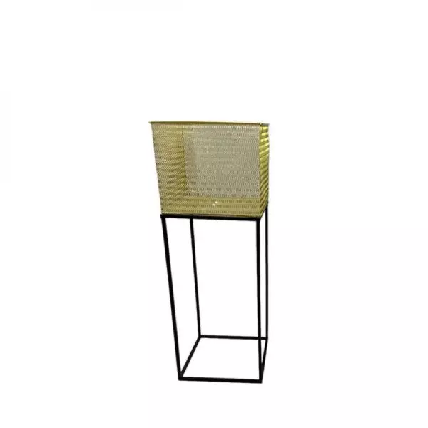 baytonia_gallery_image