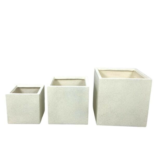 baytonia_main product photo