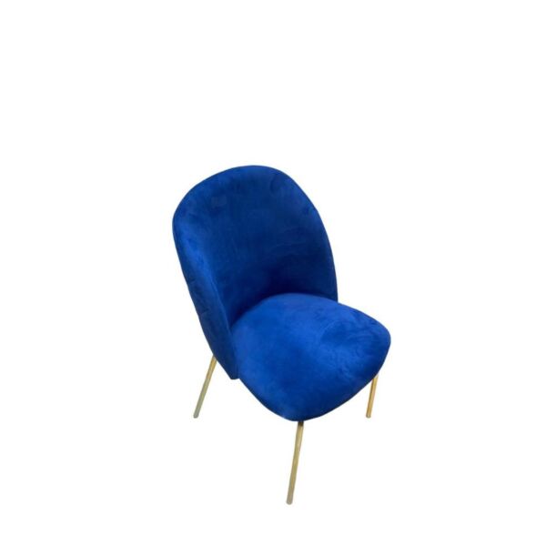 baytonia_main product photo
