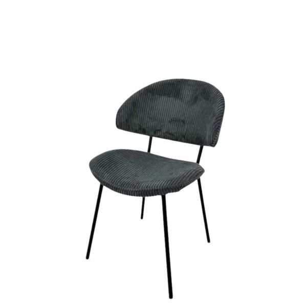 baytonia_main product photo