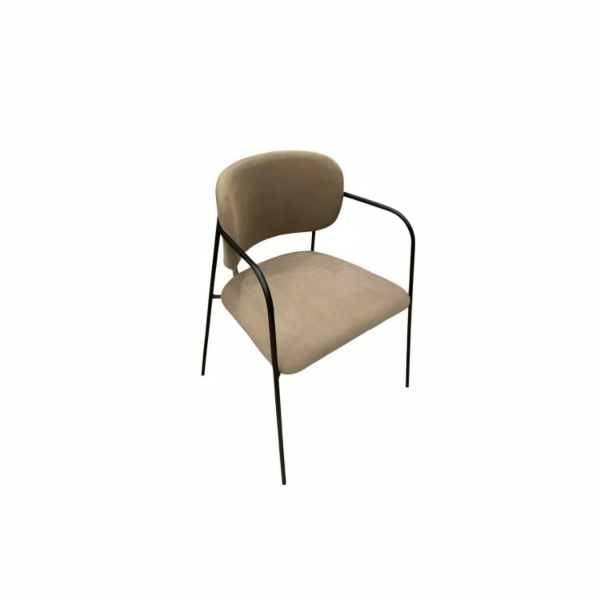 baytonia_main product photo