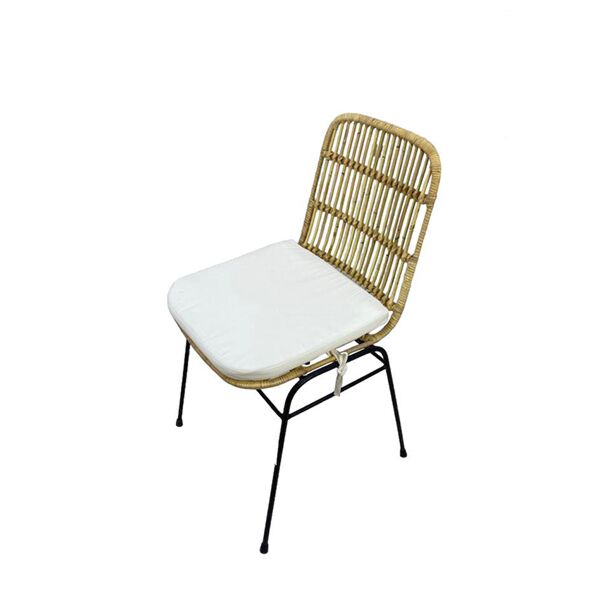 baytonia_main product photo