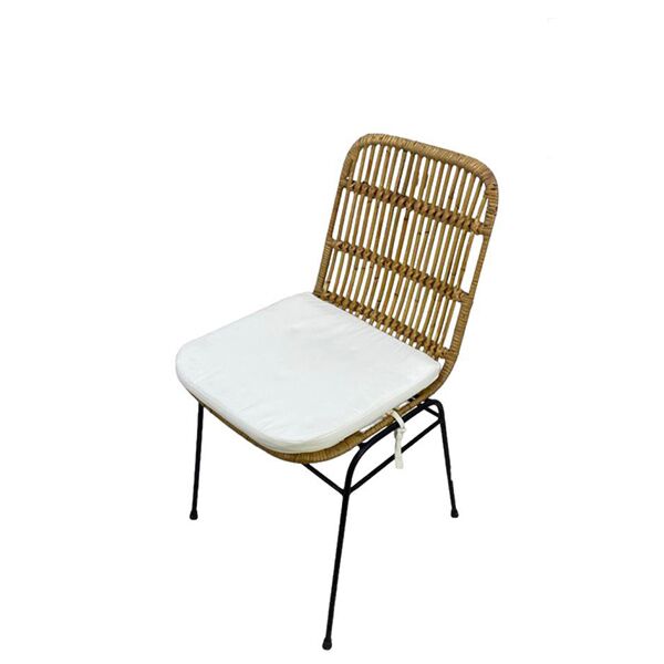 baytonia_main product photo