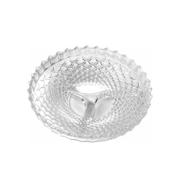 baytonia_main product photo