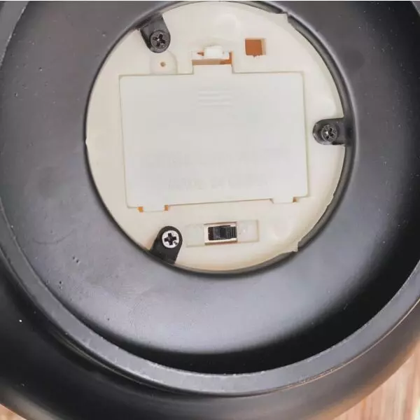 baytonia_gallery_image