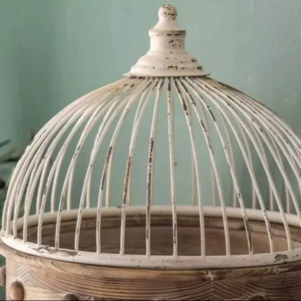 baytonia_gallery_image