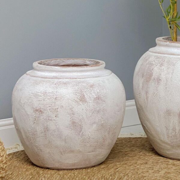 baytonia_main product photo