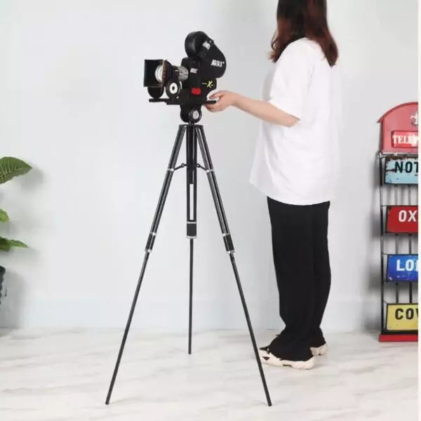 baytonia_gallery_image