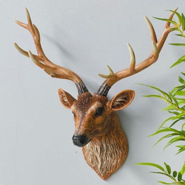 baytonia_main product photo