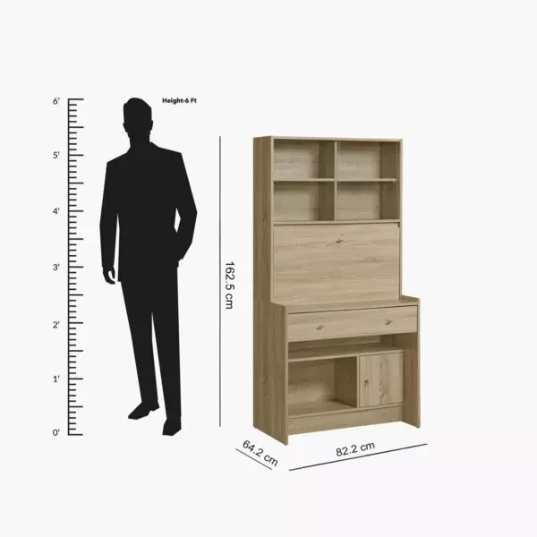 baytonia_gallery_image