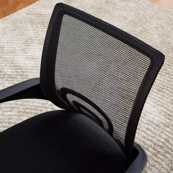 baytonia_gallery_image