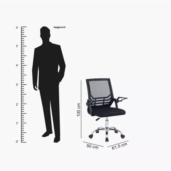 baytonia_gallery_image