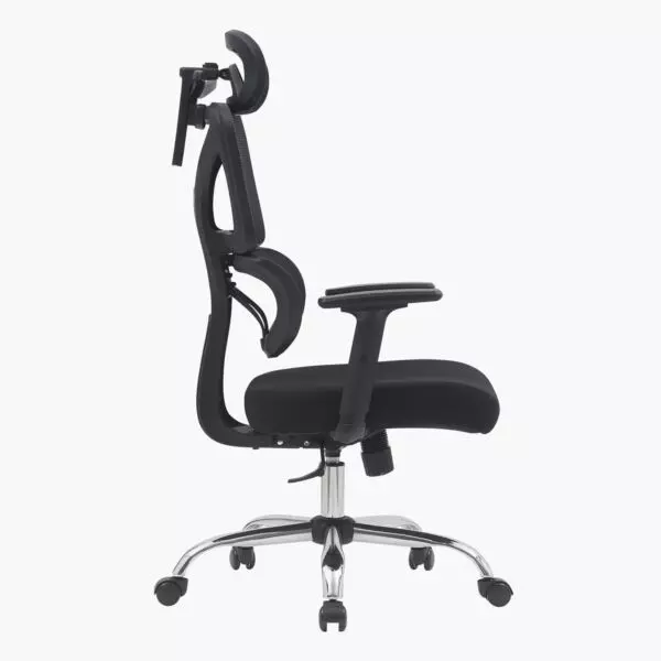 baytonia_gallery_image