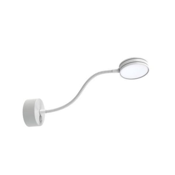 baytonia_main product photo