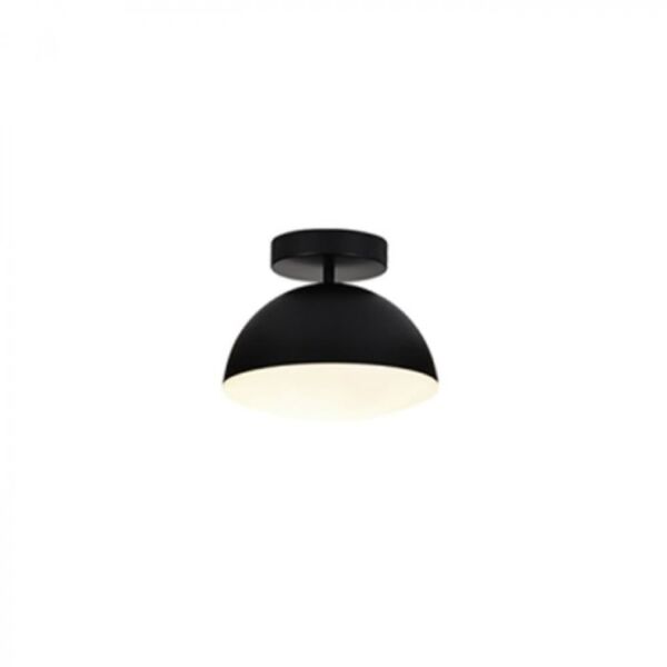 baytonia_main product photo