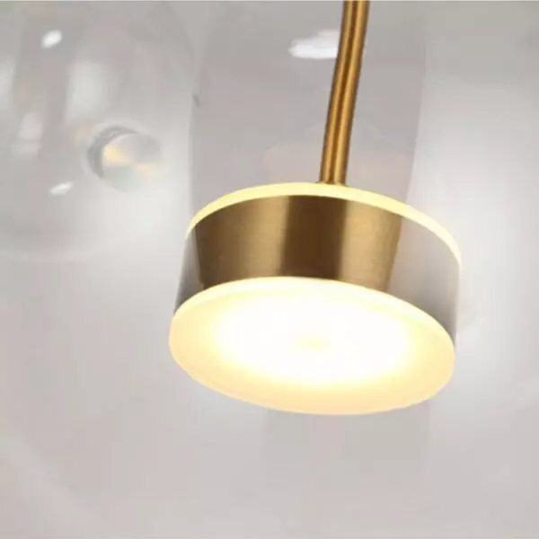 baytonia_gallery_image