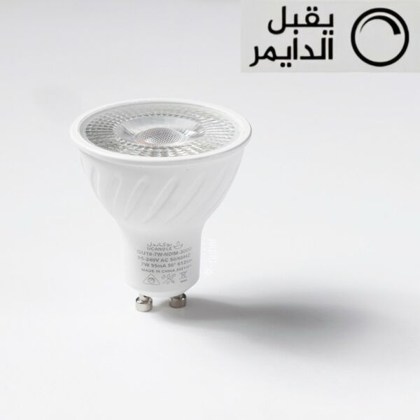 baytonia_main product photo
