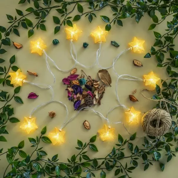 baytonia_gallery_image