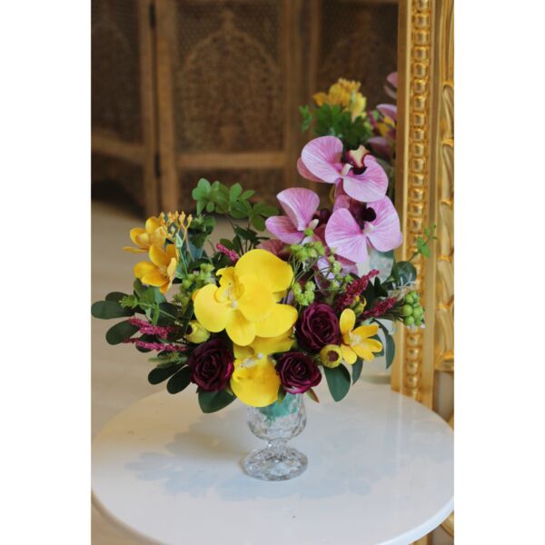 baytonia_main product photo
