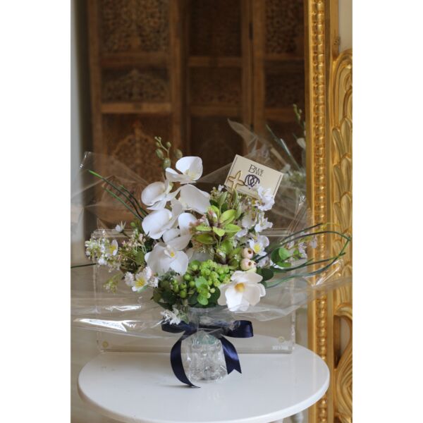 baytonia_main product photo