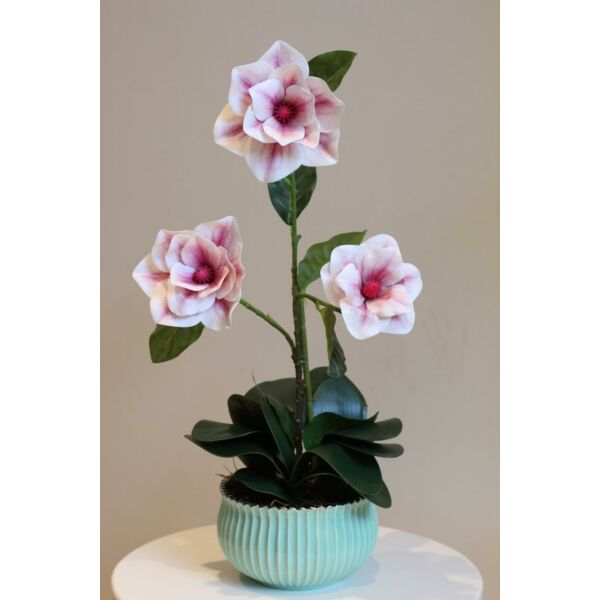 baytonia_main product photo
