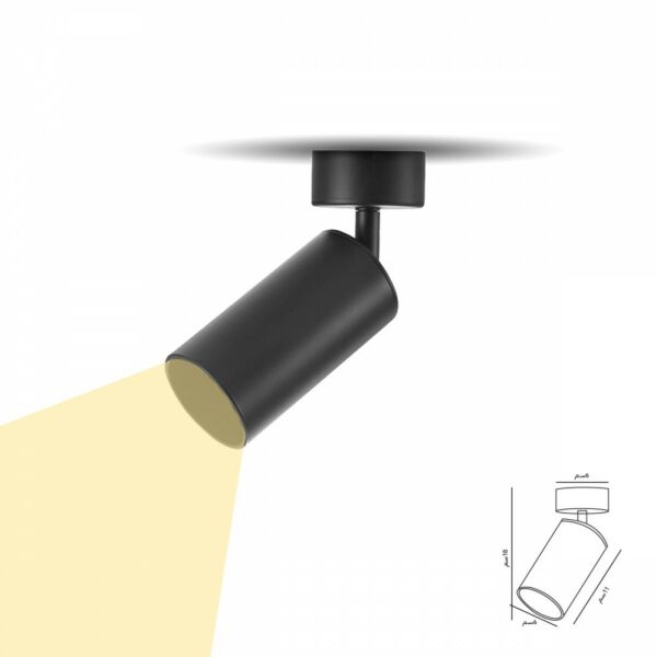 baytonia_main product photo