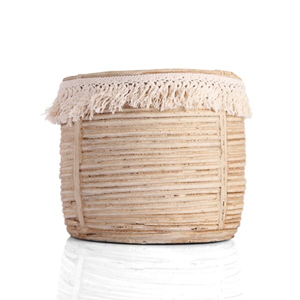 baytonia_main product photo