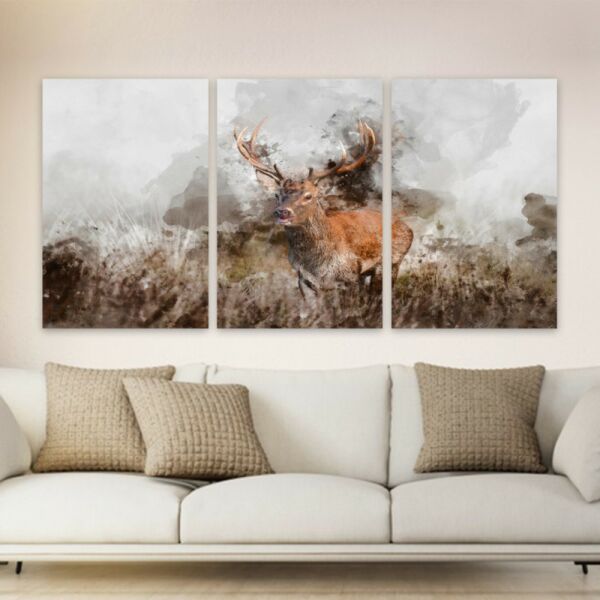 baytonia_main product photo