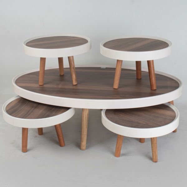 baytonia_main product photo