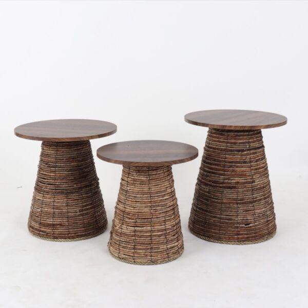 baytonia_main product photo