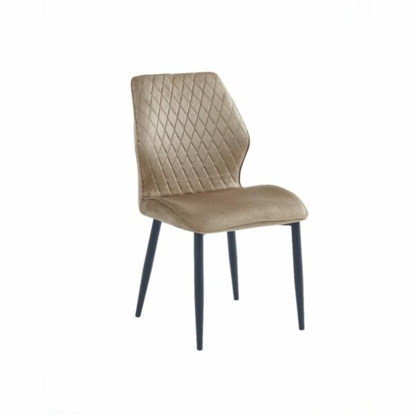 baytonia_main product photo