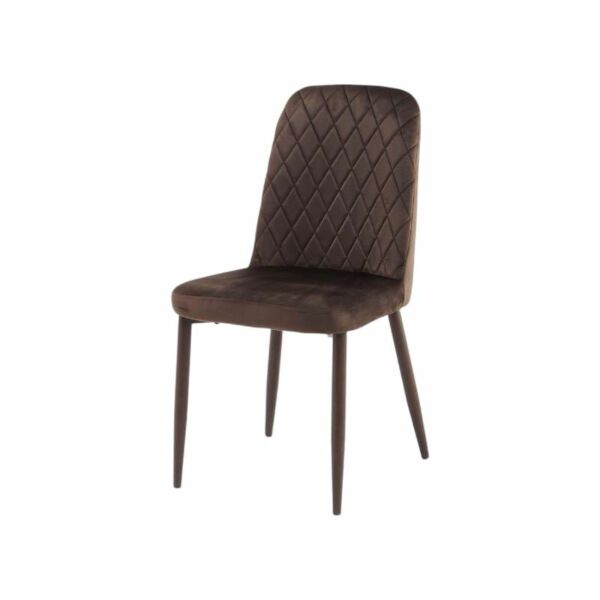 baytonia_main product photo